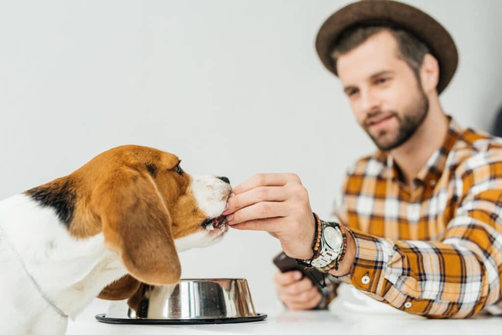 Stelle sicher, dass Dein Hund die richtige Ernährung erhält und ein gesundes Gewicht beibehält