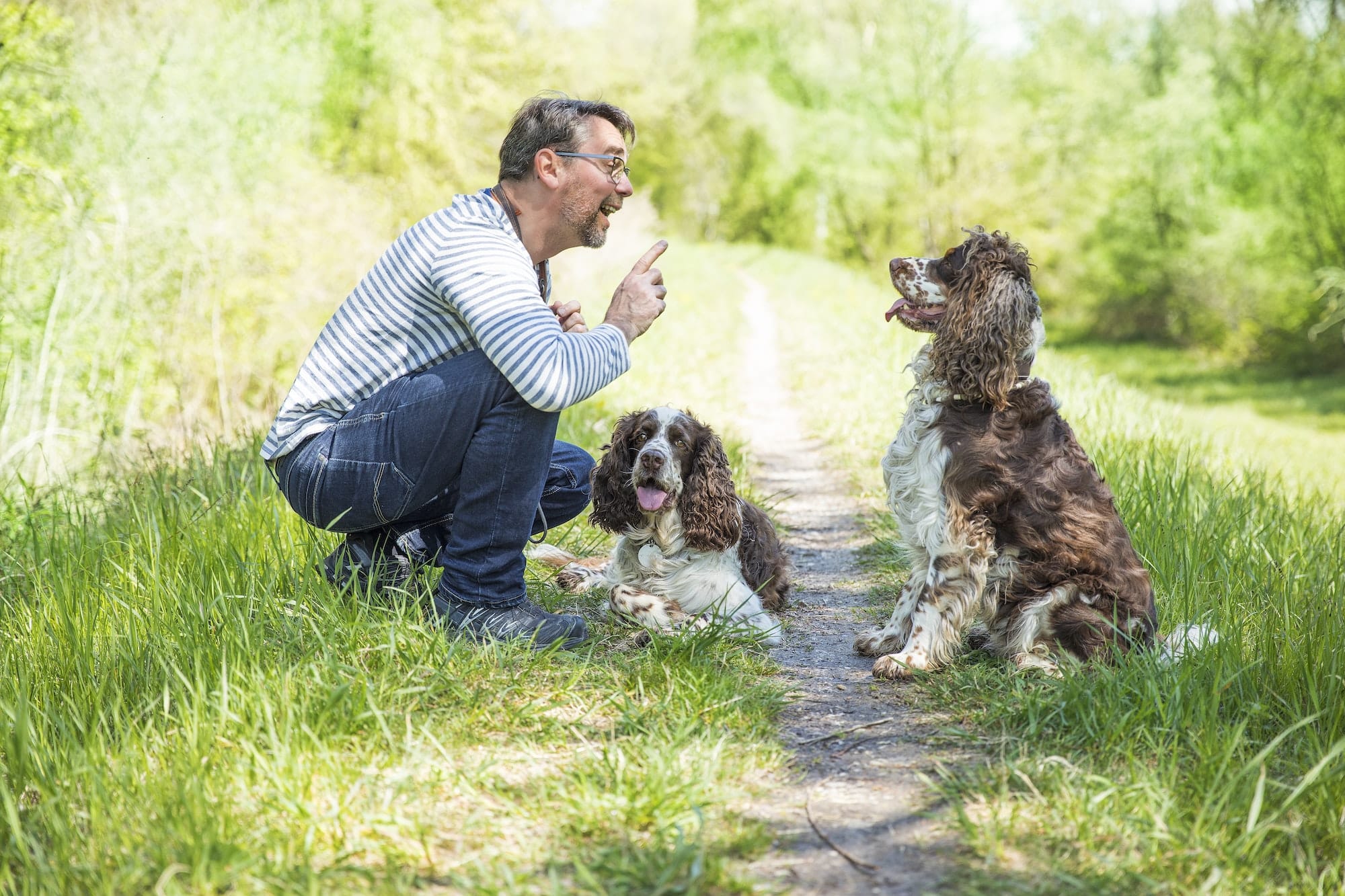 Man training dogs